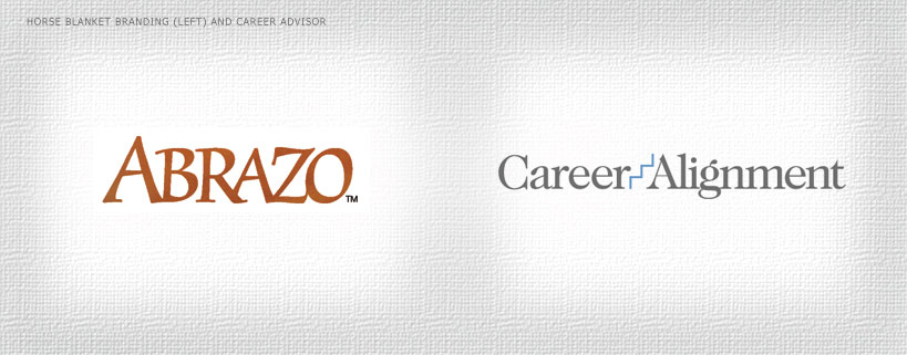Abrazo Blankets and Career Alignment